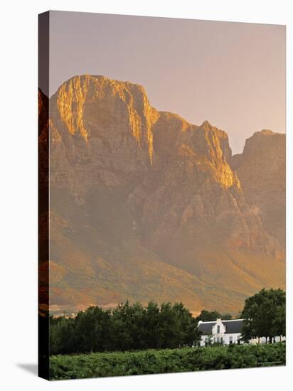 Boschendal Wine Estate, Franschoek, Cape Province, South Africa-Walter Bibikow-Stretched Canvas
