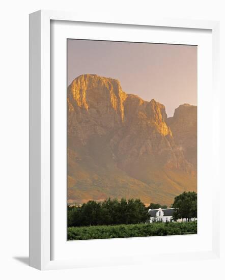 Boschendal Wine Estate, Franschoek, Cape Province, South Africa-Walter Bibikow-Framed Photographic Print