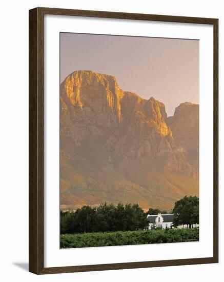 Boschendal Wine Estate, Franschoek, Cape Province, South Africa-Walter Bibikow-Framed Photographic Print