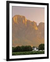 Boschendal Wine Estate, Franschoek, Cape Province, South Africa-Walter Bibikow-Framed Photographic Print