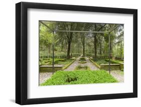 Bosco Della Ragnaia, Garden Created by Sheppard Craige-Guido Cozzi-Framed Premium Photographic Print