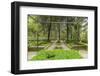 Bosco Della Ragnaia, Garden Created by Sheppard Craige-Guido Cozzi-Framed Photographic Print