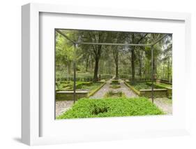 Bosco Della Ragnaia, Garden Created by Sheppard Craige-Guido Cozzi-Framed Photographic Print