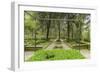 Bosco Della Ragnaia, Garden Created by Sheppard Craige-Guido Cozzi-Framed Photographic Print