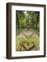 Bosco Della Ragnaia, Garden Created by Sheppard Craige-Guido Cozzi-Framed Photographic Print