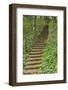 Bosco Della Ragnaia, Garden Created by Sheppard Craige-Guido Cozzi-Framed Photographic Print