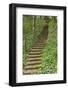 Bosco Della Ragnaia, Garden Created by Sheppard Craige-Guido Cozzi-Framed Photographic Print