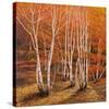 Bosco di betulle II-Adriano Galasso-Stretched Canvas