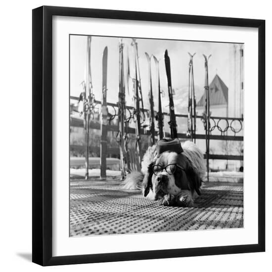Premium Photographic Print, , large