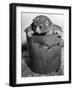 Bosman's Potto in a Paint Can-null-Framed Photographic Print