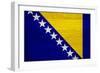 Bosnia And Hercegovina Flag Design with Wood Patterning - Flags of the World Series-Philippe Hugonnard-Framed Premium Giclee Print