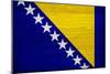 Bosnia And Hercegovina Flag Design with Wood Patterning - Flags of the World Series-Philippe Hugonnard-Mounted Premium Giclee Print