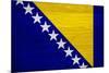 Bosnia And Hercegovina Flag Design with Wood Patterning - Flags of the World Series-Philippe Hugonnard-Mounted Art Print