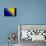 Bosnia And Hercegovina Flag Design with Wood Patterning - Flags of the World Series-Philippe Hugonnard-Art Print displayed on a wall