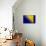 Bosnia And Hercegovina Flag Design with Wood Patterning - Flags of the World Series-Philippe Hugonnard-Mounted Art Print displayed on a wall