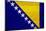 Bosnia And Hercegovina Flag Design with Wood Patterning - Flags of the World Series-Philippe Hugonnard-Mounted Art Print