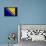 Bosnia And Hercegovina Flag Design with Wood Patterning - Flags of the World Series-Philippe Hugonnard-Framed Stretched Canvas displayed on a wall
