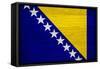 Bosnia And Hercegovina Flag Design with Wood Patterning - Flags of the World Series-Philippe Hugonnard-Framed Stretched Canvas