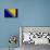 Bosnia And Hercegovina Flag Design with Wood Patterning - Flags of the World Series-Philippe Hugonnard-Stretched Canvas displayed on a wall