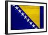 Bosnia And Hercegovina Flag Design with Wood Patterning - Flags of the World Series-Philippe Hugonnard-Framed Art Print