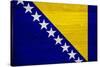 Bosnia And Hercegovina Flag Design with Wood Patterning - Flags of the World Series-Philippe Hugonnard-Stretched Canvas