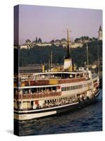 Bosphorus Ferry, Istanbul, Turkey, Eurasia-David Lomax-Stretched Canvas