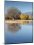 Bosque del Apache National Wildlife Refuge, fall, New Mexico-Maresa Pryor-Mounted Photographic Print