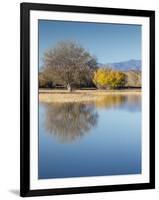 Bosque del Apache National Wildlife Refuge, fall, New Mexico-Maresa Pryor-Framed Photographic Print