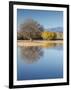 Bosque del Apache National Wildlife Refuge, fall, New Mexico-Maresa Pryor-Framed Photographic Print