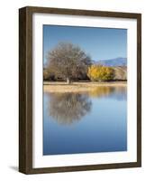 Bosque del Apache National Wildlife Refuge, fall, New Mexico-Maresa Pryor-Framed Photographic Print