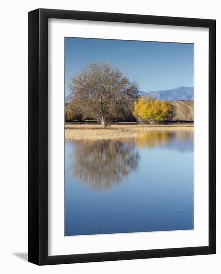 Bosque del Apache National Wildlife Refuge, fall, New Mexico-Maresa Pryor-Framed Photographic Print