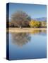 Bosque del Apache National Wildlife Refuge, fall, New Mexico-Maresa Pryor-Stretched Canvas