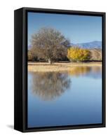 Bosque del Apache National Wildlife Refuge, fall, New Mexico-Maresa Pryor-Framed Stretched Canvas