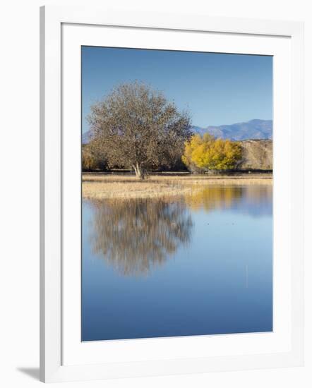 Bosque del Apache National Wildlife Refuge, fall, New Mexico-Maresa Pryor-Framed Photographic Print