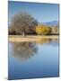 Bosque del Apache National Wildlife Refuge, fall, New Mexico-Maresa Pryor-Mounted Photographic Print