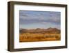 Bosque del Apache National Wildlife Refuge, Socorro County, New Mexico, USA-Larry Ditto-Framed Photographic Print