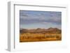 Bosque del Apache National Wildlife Refuge, Socorro County, New Mexico, USA-Larry Ditto-Framed Photographic Print