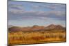 Bosque del Apache National Wildlife Refuge, Socorro County, New Mexico, USA-Larry Ditto-Mounted Photographic Print