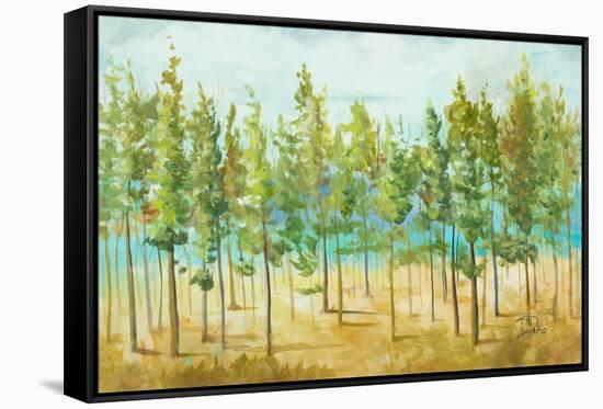 Bosque Verde-Patricia Pinto-Framed Stretched Canvas