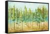 Bosque Verde-Patricia Pinto-Framed Stretched Canvas