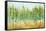 Bosque Verde-Patricia Pinto-Framed Stretched Canvas