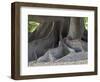 Bosques de Palermo park. Buenos Aires, capital of Argentina.-Martin Zwick-Framed Photographic Print