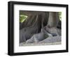 Bosques de Palermo park. Buenos Aires, capital of Argentina.-Martin Zwick-Framed Photographic Print