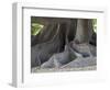 Bosques de Palermo park. Buenos Aires, capital of Argentina.-Martin Zwick-Framed Photographic Print