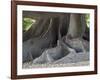 Bosques de Palermo park. Buenos Aires, capital of Argentina.-Martin Zwick-Framed Photographic Print