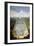 Bosquet De L'Île Royale and Bassin Du Miroir in the Gardens of Versailles-Etienne Allegrain-Framed Giclee Print