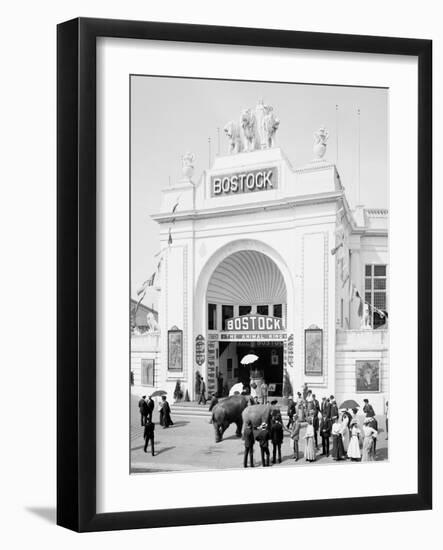 Bostock, Dreamland, Coney Island, N.Y.-null-Framed Photo