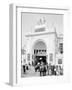 Bostock, Dreamland, Coney Island, N.Y.-null-Framed Photo