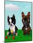 Boston and Frenchie-Brian Rubenacker-Mounted Art Print