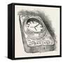 Boston and Hull Mail Coach Clock, 1890-null-Framed Stretched Canvas